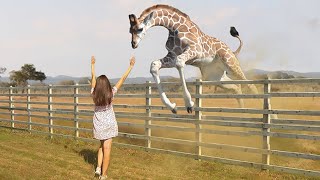 These Animals Reunited With Owners After Years Of Waiting [upl. by Araihc]