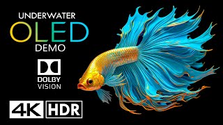 World of Underwater🐟OLED Dolby Vision 4K HDR 60FPS 4K Video [upl. by Maeve]