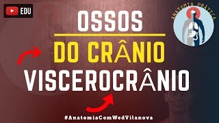 Ossos Do Crânio VISCEROCRÂNIO❗Quais são❗❓DESCUBRA AQUI❗Anatomia Prática [upl. by Ykciv]