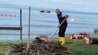 Lochau Schwemmholz und Hochwasser beim Strandbad und am Kaiserstrand [upl. by Nadnarb104]