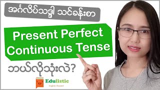 အင်္ဂလိပ်သဒ္ဒါ English Grammar in Burmese Present Perfect Continuous Tense  EDULISTIC [upl. by Ewnihc]