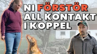 Få bättre KONTAKT med din hund [upl. by Matrona794]