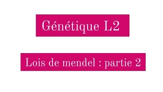 Génétique L2  les conséquences de la méiose chez les diploides partie 2 [upl. by Alurta]