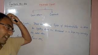 Macrocyclic Ligands [upl. by Aym]