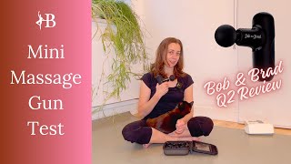 Bob amp Brad Q2 Mini Massage Gun Reviewed by a Ballet Teacher And Her Cat [upl. by Nylecaj295]