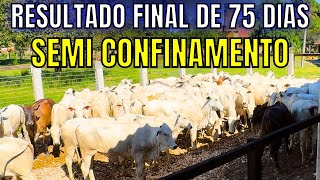 Resultado Final de 75 dias de Semi Confinamento com Novilhas de Corte  Fazenda Daniel [upl. by Anek]