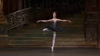 Coda Swan Lake ROH Marianela Nuñez fouettes [upl. by Nylatsirhc]