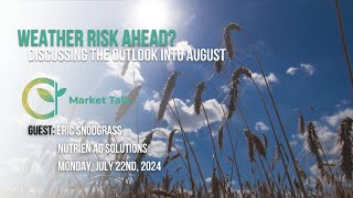 Weather Risk Ahead for Soybeans and Spring Wheat [upl. by Nylanaj]