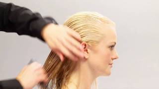 Aveda HowTo  Everyday Body amp Increased Volume for Fine Hair [upl. by Nelaf]