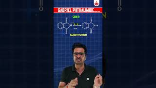 Gabrial Phthalamide Reaction neetpreparation organicchemistry neet2025 amines neetchemistry [upl. by Stanway123]