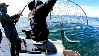 Bay Area Salmon OPENER Netting is STRESSFUL [upl. by Keenan]