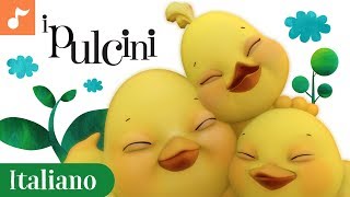 Pulcini  Italian Childrens Nursery Songs Italiano  Canticos [upl. by Eselrahc]