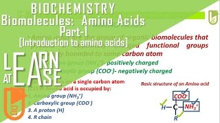 Biomolecules Amino Acids Part1 Introduction to amino acids [upl. by Aihsekram484]