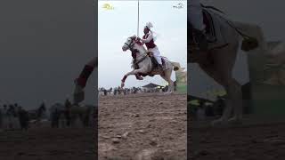 Individual Lance amp Pegg  Single Neza Baazi  Sultan Neza Baazi Tournament [upl. by Tirrej]