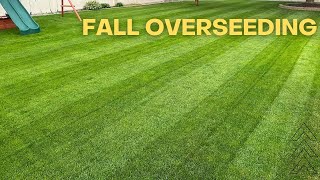 Overseeding Lawn  Steps Tips Tricks For A Successful Overseed  Cool Season Grass [upl. by Shell]