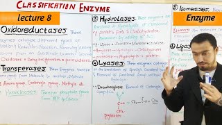 Classification of Enzyme 6 types Full detail lecture in Hindi and Urdu by Aizaz Ahmed [upl. by Ainej]