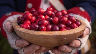 Founding Father Food  Cranberries [upl. by Isabel]