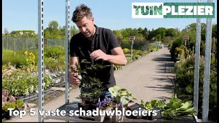 Arjans top 5 vaste bloeiende schaduwplanten  TUINPLEZIER [upl. by Talia]