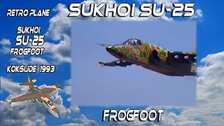 Great Planes  Sukhoi Su 25 Frogfoot Koksijde 1993 [upl. by Kondon]