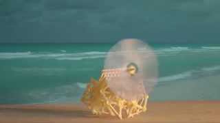 Beach Animals The Strandbeest [upl. by Elyr]