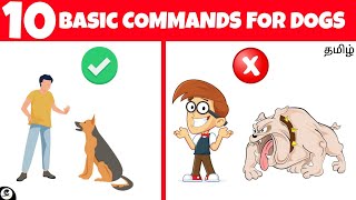 How to teach Basic Commands for your dog  basic training  funny 😂 [upl. by Marquis]