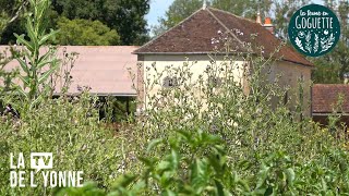 La Ferme en Goguette des maraîchers locaux [upl. by Ettenahc413]