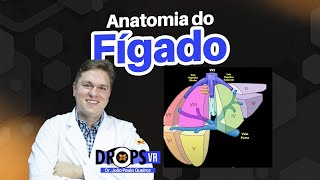 ANATOMIA DO FÍGADO  COMO RECONHECER NO USG I VOCÊ RADIOLOGISTA [upl. by Nilram23]