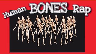 Human Bones Song 🎵  EASY amp FUN Way to Memorize the Bones of the Body FUNdamental RAPS Anatomy [upl. by Reiche]