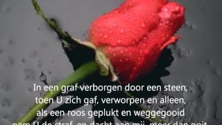 Lied Meer dan rijkdom met tekst [upl. by Harden]