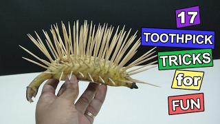 17 Easy Toothpick Tricks  How to use toothpick for fun [upl. by Marcelle517]