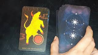 Tarot Review Oriens Animal Tarot by Ambi Sun [upl. by Eissel]