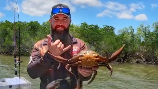 One For The Haters  Mud Crab Catch And Cook catchandcook mudcrab skidpig [upl. by Coheman]