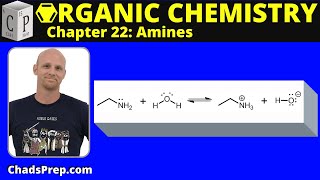 223 Basicity of Amines [upl. by Eyllib]