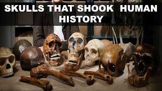 Skulls That Shook Human History [upl. by Oiliduab]