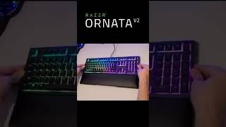 Razer Ornata V2 Sound Test shorts [upl. by Kiele876]