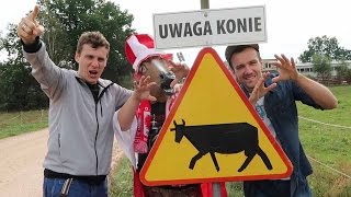 Koń Janusz typuje mecz Kazachstan  Polska [upl. by Hum]