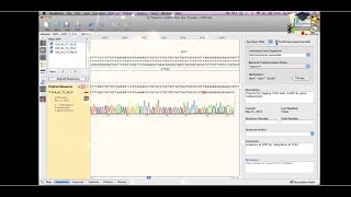 Class10 Aligning to a Reference DNA Sequence  SnapGene [upl. by Nosmas]