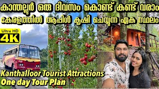 കേരളത്തിലെ ആപ്പിൾ തോട്ടം കാണാൻ പോയാലോ🔥 Kanthalloor One Day Tour plan  Apple Farm in Kanthalloor 🍎 [upl. by Eisler]