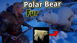 assassins creed valhalla where to find polar bears [upl. by Kneeland]