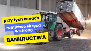 Przy tych cenach zbóż rolnictwo skręca w stronę bankructwa Żniwa 2024 [upl. by Walcoff]