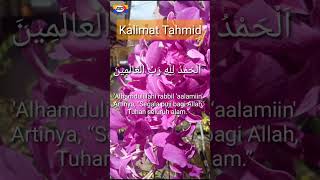 Kalimat Tahmid shorts [upl. by Einnej]