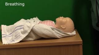 Neonatal Resuscitation  Demonstration [upl. by Clemence175]