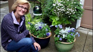 How to create layered bulb pots with plants on topGarden Style nw [upl. by Nerret]