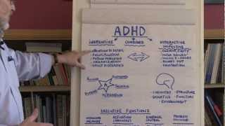 What Is ADHD [upl. by Emiatej798]