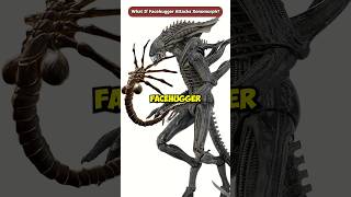 What If The Facehugger Attacks A Xenomorph shorts viral [upl. by Sanborne]