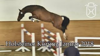 090118 Elmshorn Körung [upl. by Haramat]