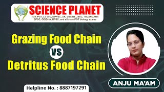 Grazing Food Chain Vs Detritus Food Chain by Anju Mam on Science Planet [upl. by Ymac219]