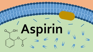 Aspirin and Prostaglandins [upl. by Nosnej227]