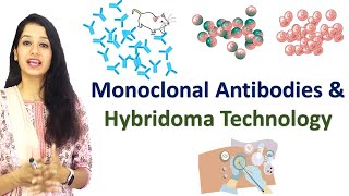 Monoclonal Antibodies and Hybridoma Technology I Immunotechniques I Immunology [upl. by Dagna]