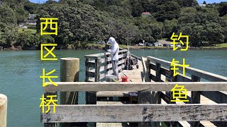 Cornwallis Wharf钓针鱼太容易了 男女老少都能钓到 【NZ Lucy Vlog 44】 [upl. by Irok]